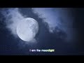 Moonlight by Maxx Mae - Lyric Video