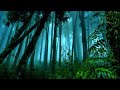 [WITH THUNDER...!] Intense Rain & Forest: Sounds of Nature to Ease Anxiety
