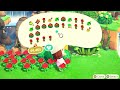 🌈 I made a RAINBOW SHAPED flower field!🌸 Island Speed Build | Animal Crossing New Horizons | ACNH