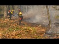 Handline Construction for Forest Fire Control