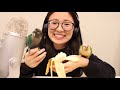 ASMR Birds | ASMR Eating with MY Parrots