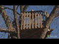 The Best Tree House Ever