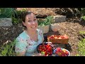 2023 Summer Garden Harvest | Small Backyard Garden