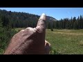 Grant Lakes from Ten Lakes trailhead Yosemite Backpacking