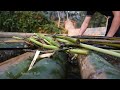 Upgrade Bamboo Raft & Fishing