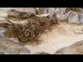 Exploring Desert Rain / Flash Flood (making of)