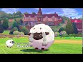 what Wooloo will sound like in the anime