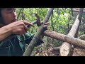 Building Complete Survival Bushcraft Shelter under the giant tree / King Of Satyr