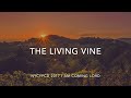 The Living Vine