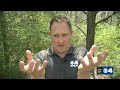 Male eagle tries to hatch rock baby at local bird sanctuary, story goes viral