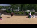 Serval - Kentucky Spring Horse Show