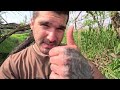 “BEAVERS FLOOD GATES FALL”  Beaver Dam Removal Unleashes Floods Fury