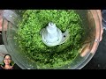 เพสโต้ใบกระเทียมป่า / Wild garlic pesto / Sai Eeuu cooking in Germany