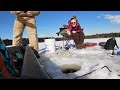 SLAB Crappies While Ice Fishing Remote Maine Pond