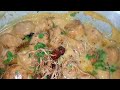 Karhi Pakora II-Recipe -by DAILY FOOD-Easy & Simple Recipes