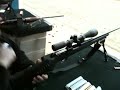 Sniper (savage model 11 .308 WIN)