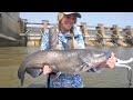 2 HOURS of Battling Giant SPILLWAY MONSTERS! -- Her Biggest Ever!!!