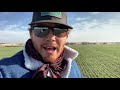 ROPING and DOCTORING wheat pasture cattle with Brent Bennett! Pt. 2