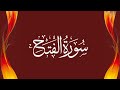 Surah Yasin || Surah Fath || Surah Rehman || Surah Waqiah || Surah Mulk || Surah Muzammil Full (HD)