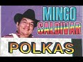 Mingo Saldivar - POLKAS 6 EXITOS