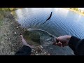 Last Week I caught 6 lunkers, this week I caught... | This spot is a Honey hole for Largemouth Bass!