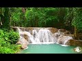 Relaxing music for resting the mind, stress, anxiety, meditation, relaxation and sleep