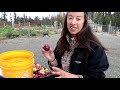 Harvesting 200 LBS of Potatoes | Gardening in Alaska