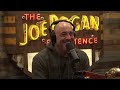 The Joe Rogan Experience | #330