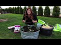 Planting Strawberries in Containers for Beginners! 🍓🤤// Garden Answer