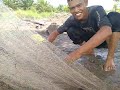 Vlog menjala ikan sepat siam | Sungai Mandau