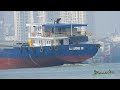 Thrilling Watching Canoe Race With Ships Carrying Thousands of Containers | 4K Shipspotting