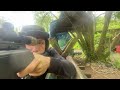 @BSA_Airgunning channel trailer