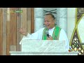 HOMILY | Eleventh Sunday in Ordinary Time | Rev. Fr. Erwin Rommel Torres June 13, 2021