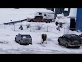 A man calls a moose to him, and then I witness something awesome.
