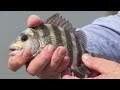 Fishing off the Front Dock (from 