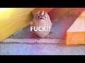 Bird says wtf after knockout