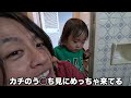 【森ケの日常】初静岡県7人家族旅行！