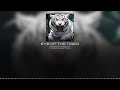 Eye of The Tiger | Survivor (REMIX by Sweeptrack)