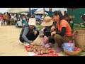 Harvesting Sapodilla Fruit goes to the market sell - Harvest jackfruit | New Free Bushcraft