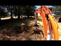 Redwood Tree Topping