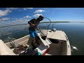 Flounder Fishing and Tagging Fish for Rutgers University #viral #fishing #flounder #rutgers