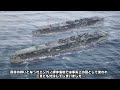 Recreating All 25 Japanese Aircraft Carriers