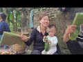 Harvesting longan garden to sell at market - Cooking with baby | Linh's Life