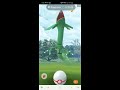 Another Rayquaza catch. Skip to 0:55 for start. Had to catch one else their's and forgot to pause.