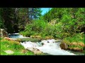 The sound of the river and the voice of a small bird that can concentrate on work ✦ Relax Sound