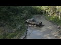 mudding