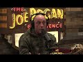 How Cory Sandhagen ACTUALLY Got into UFC | Joe Rogan Experience