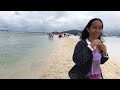 Dolphin Watching & Enjoying Manjuyod Sandbar Philippines 2024