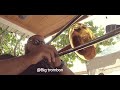 Trombon Solo 2024 Carloscar BigTrombone  Cepero