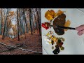 Painting a Fall Forest Landscape with Acrylics - Paint with Ryan